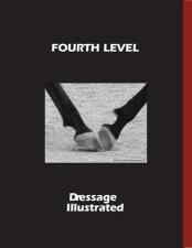 DI Fourth-Level-L_large